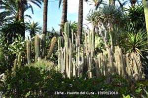 19 ELCHE HUERTO DEL CURA (86)